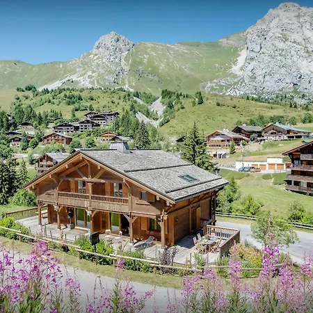 L'ours Blanc - Ovo Network * Le Grand-Bornand